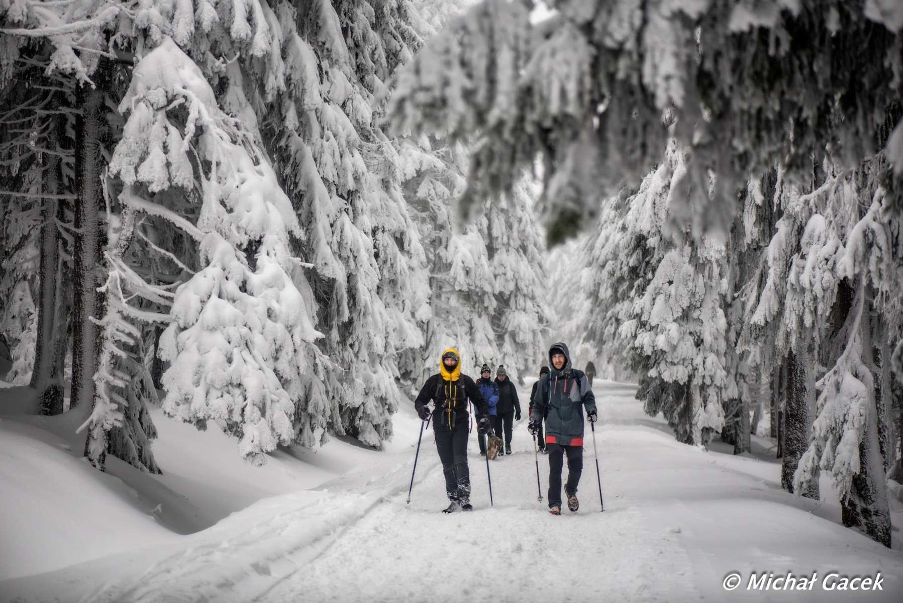 Marsz Jaskiniowego Niedźwiedzia – Edycja Zimowa